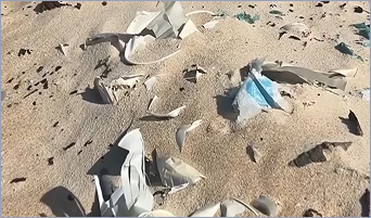 imagem campanha limpeza praia oceano